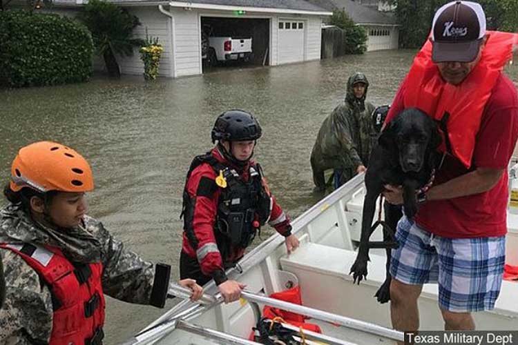 Hurricane Harvey Pet Rescue